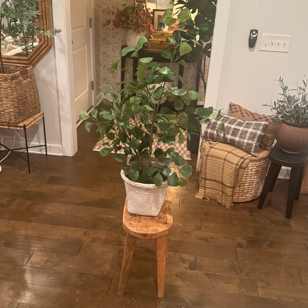 NWT Faux Ficus Tree - Threshold designed with Studio McGee - Picture 11 of 12